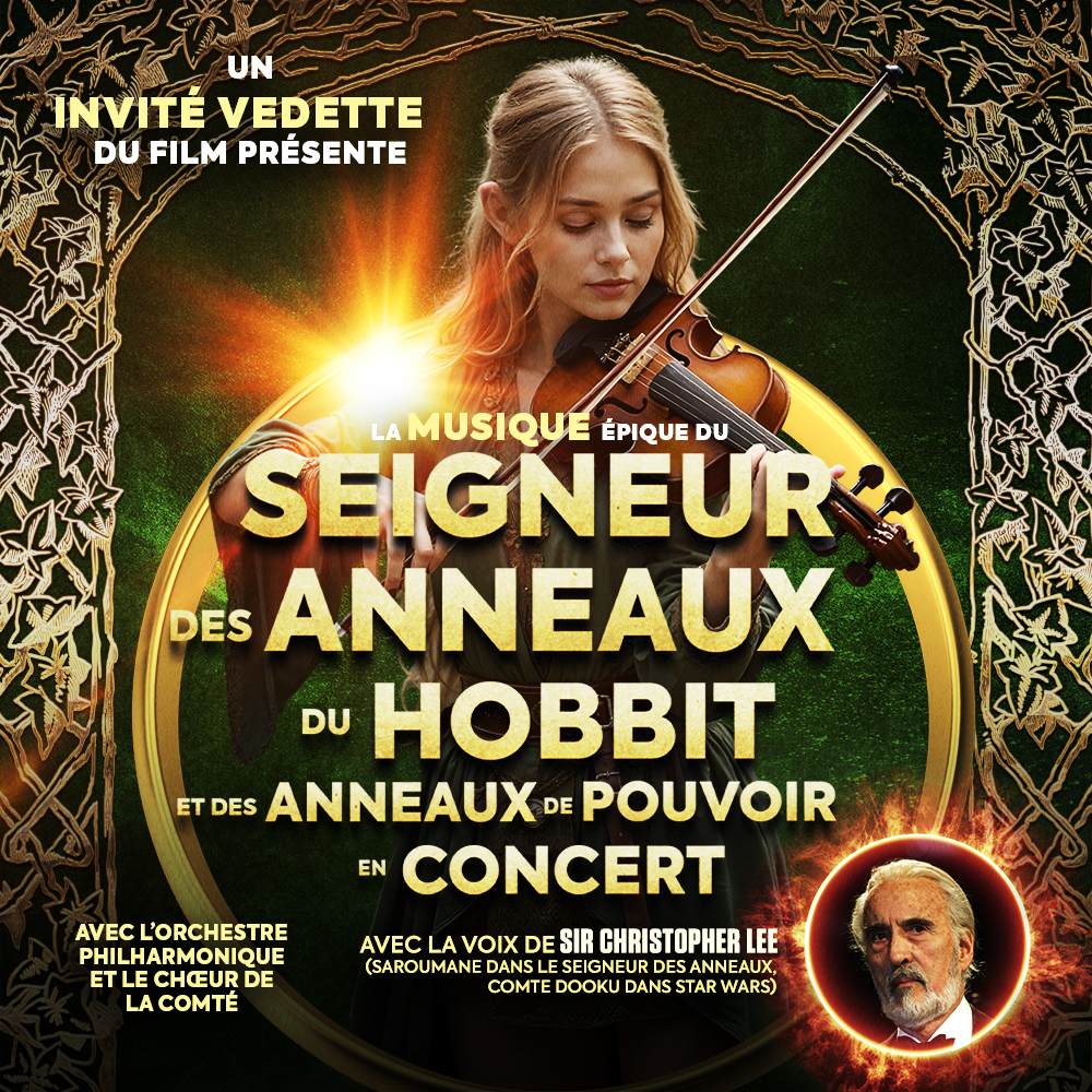 Affiche Seigneur des anneaux