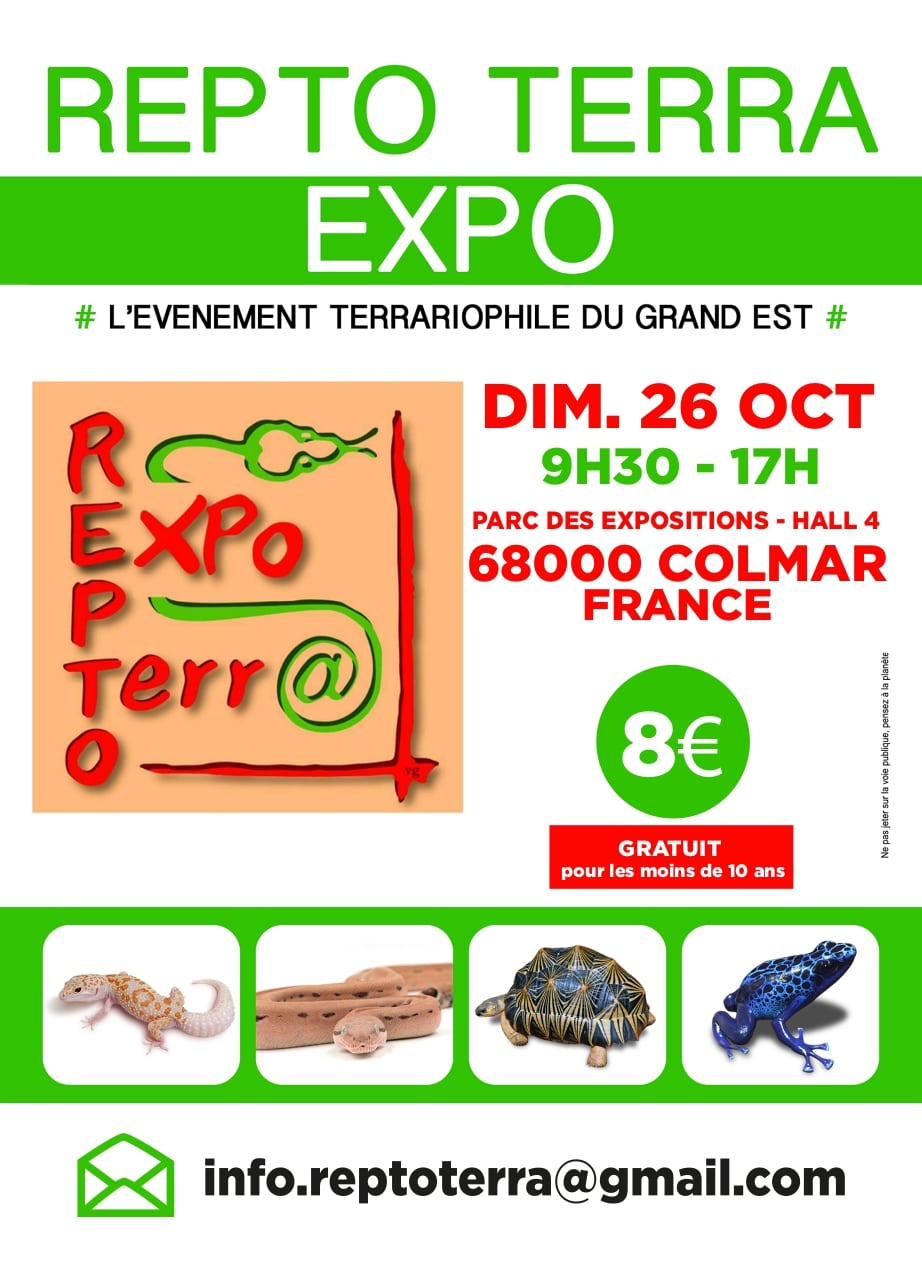Flyer 2025 (1)_page-0001