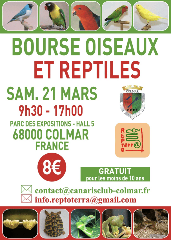 Affiche bourse aux oiseaux et reptiles
