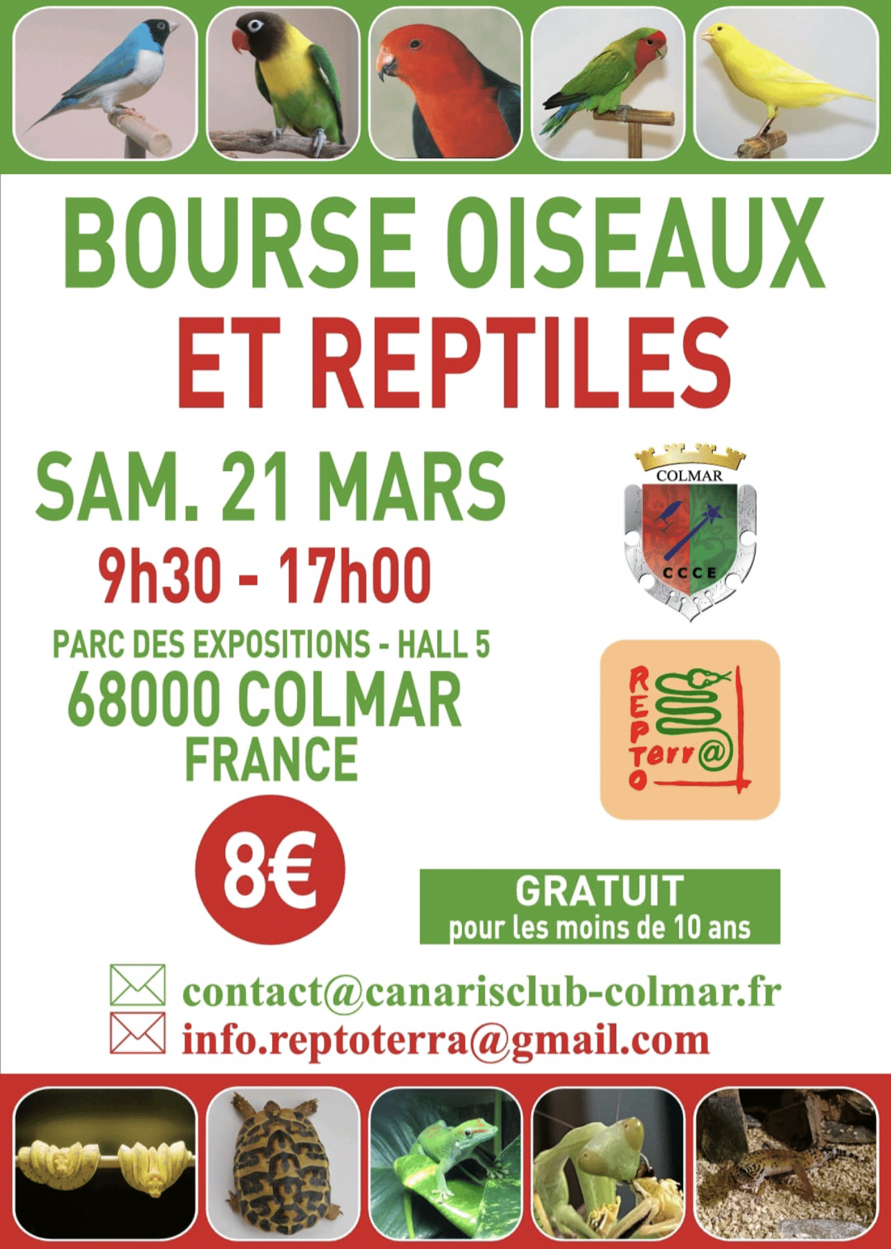Affiche bourse aux oiseaux et reptiles